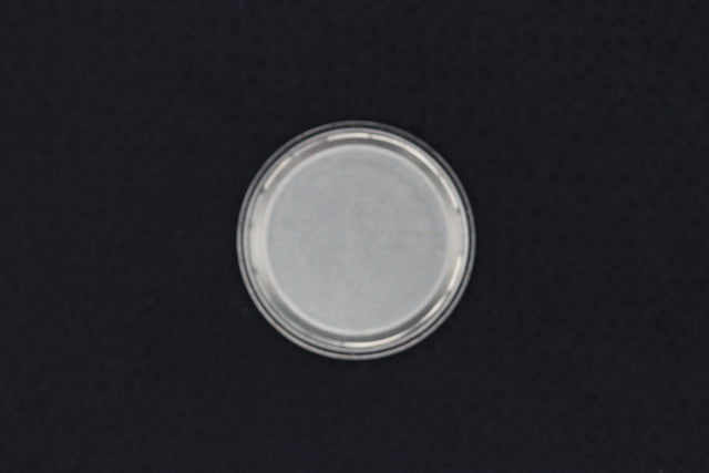 BWC Vintage Chronograph Lemania 1975s