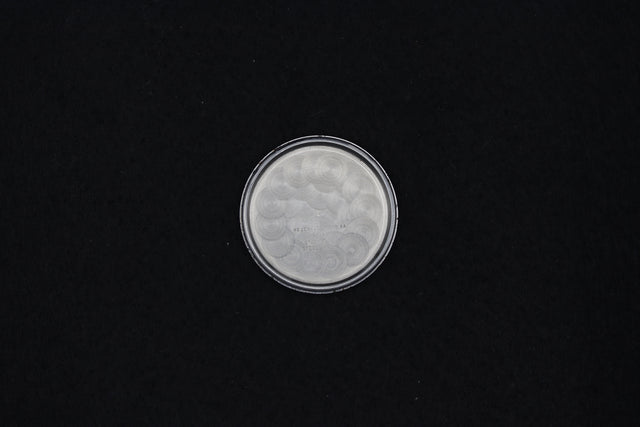 Heuer - Carrera 12 Gold 2448N