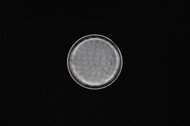 Lowenthal - Monopusher 1930s